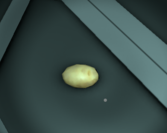 File:RawPotato.png